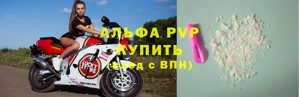 индика Карпинск
