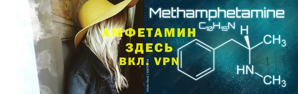 индика Карпинск