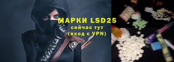 индика Карпинск
