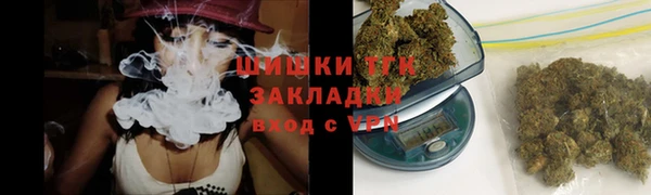 индика Карпинск