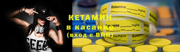 индика Карпинск