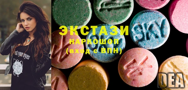 индика Карпинск