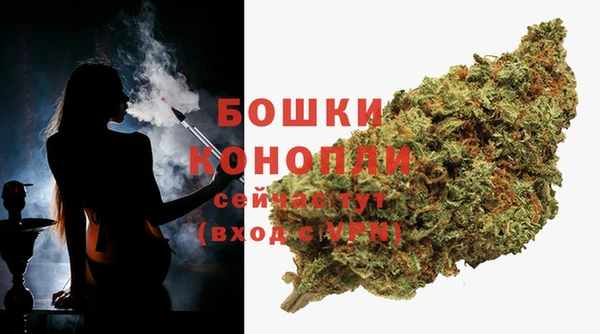 индика Карпинск