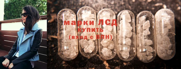 индика Карпинск