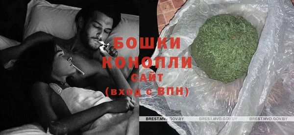 индика Карпинск
