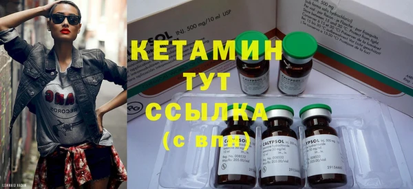 индика Карпинск