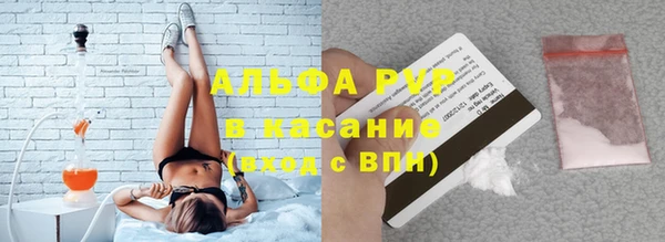 индика Карпинск