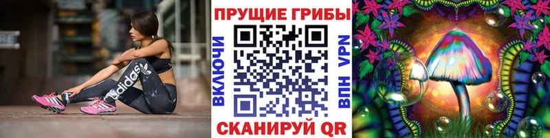 Купить где  Константиновск  Галлюциногенные грибы Cubensis 